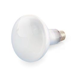 FD-610-Lamp-00YYFS_.jpg