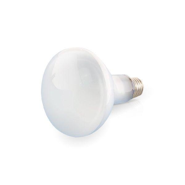 Kett IR-LAMP1 อะไหล่หลอดไฟสำหรับเครื่องวัดความชื้น FD-600 และ FD-610-photo0