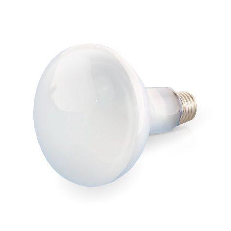 Kett IR Lamp (220V/ 300W) for FD-620 (can not be used with FD-610/FD-600)-photo0