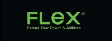 FLEX logo