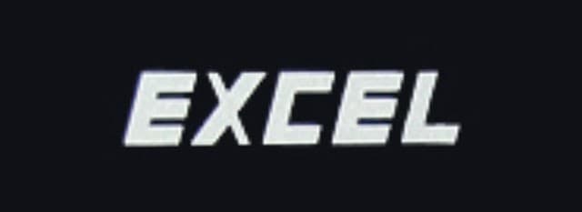 EXCEL logo