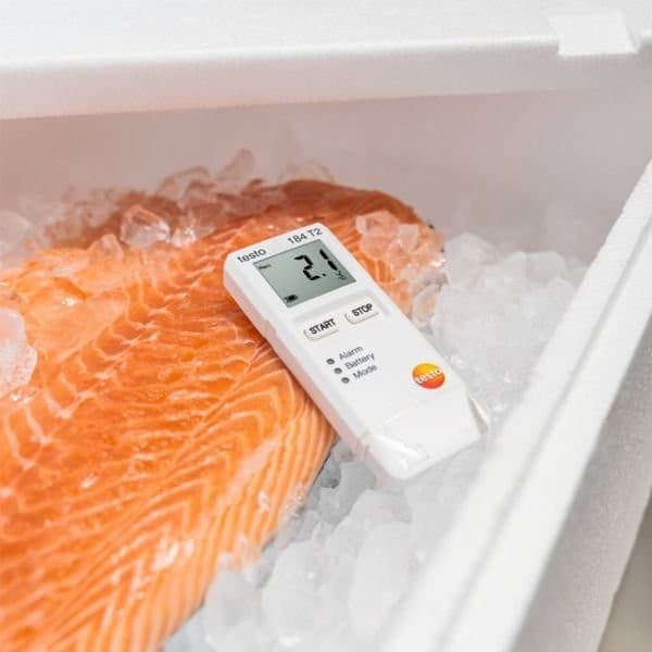 Testo 184-T1 Temperature data logger for transport monitoring image
