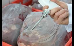 Testo-0613-1052 Frozen Food Probe สำหรับรุ่น Testo-105 image