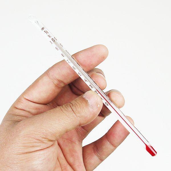 SK Sato SK-0620-00 ปรอทวัดอุณหภูมิ 150mm Alcohol Filled | 0 to 100°C image