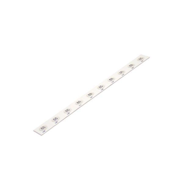 Asey 1K65-P20 แถบวัดอุณหภูมิ 1points (65°C) | 20pcs/ 1pack image