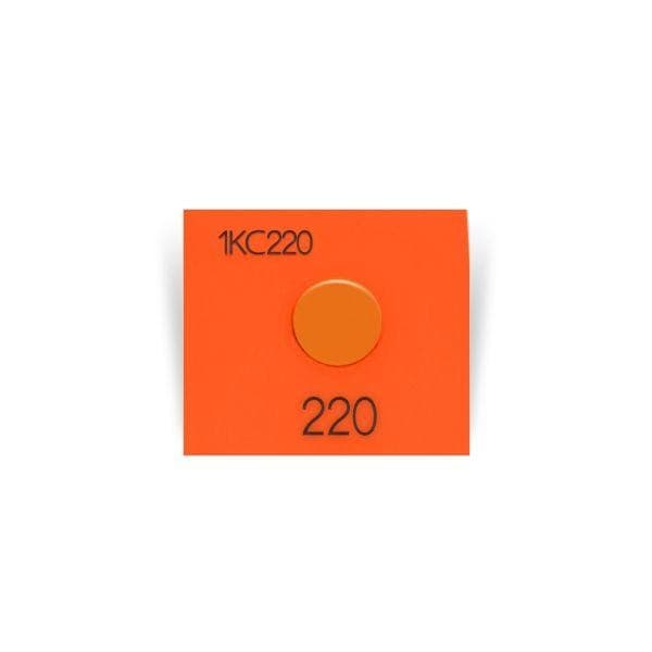 Asey 1KC220-P20 แถบวัดอุณหภูมิ 1points (220°C) | 20pcs/ 1pack image