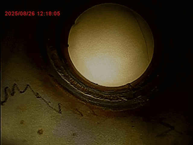 ภาพจากกล้อง F1100