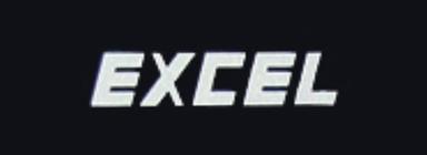 EXCEL logo