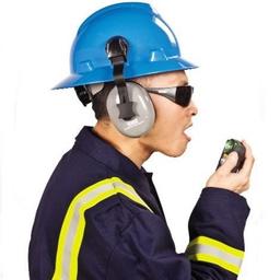 MSA ALT-2X-10154079 เครื่องวัดแก๊สแอมโมเนีย (NH3) image