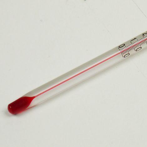 SK Sato SK-0600-00 ปรอทวัดอุณหภูมิ 150mm Alcohol Filled | -20 to 50°C image