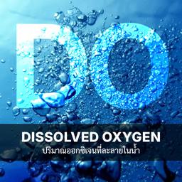 เครื่องวัดค่า Dissolved Oxygen (DO) ปริมาณออกซิเจนที่ละลายในน้ำ