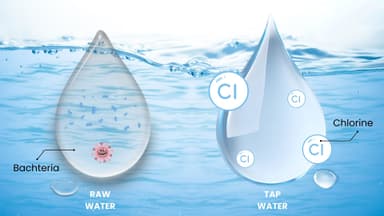 ความแตกต่างระหว่าง Free Chlorine และ Total Chlorine