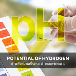 เครื่องวัดค่า pH ค่าความเป็นกรด-ด่าง