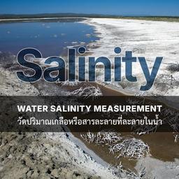 เครื่องวัดค่าความเค็มในน้ำ (Salinity Meter)