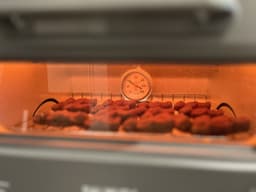 SK Sato SK-1726-20 ในเตาอบ