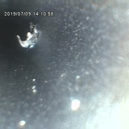 Demo MITCORP X600 PLUS + Casting Probe_01-small-photo0