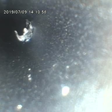 Demo MITCORP X600 PLUS + Casting Probe